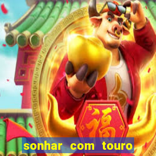 sonhar com touro bravo no mundo espiritual